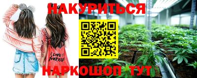 сатива Кимры