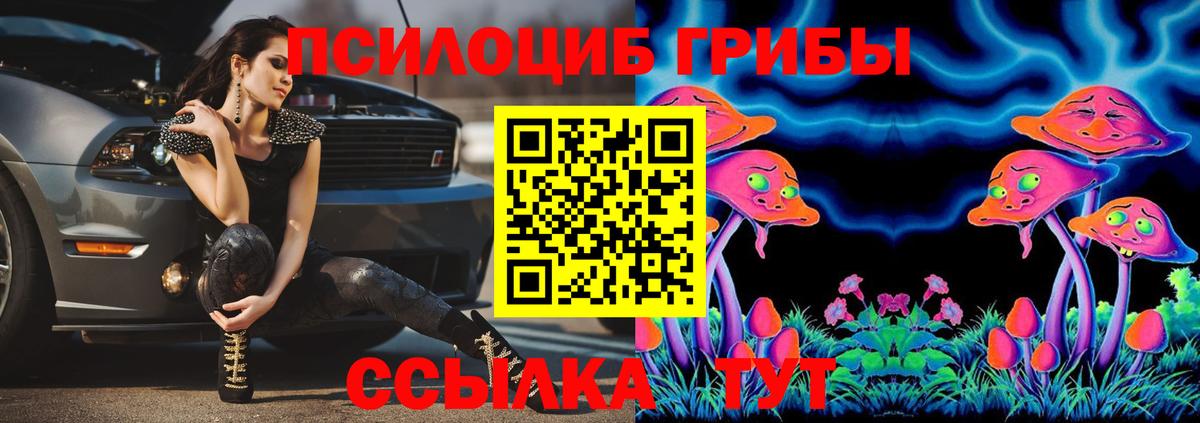 Псилоцибиновые грибы прущие грибы  Вход с VPN  закладка  Котлас 